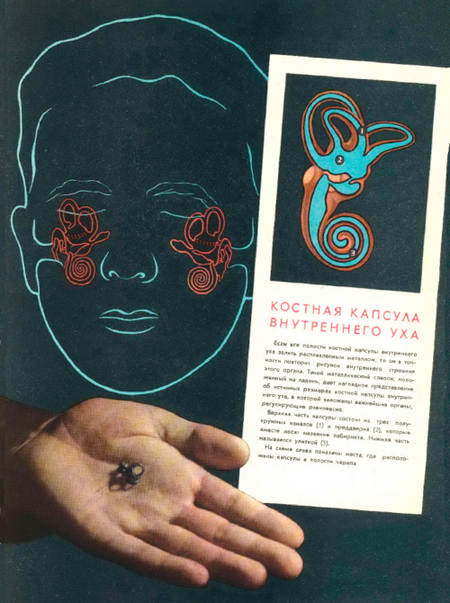 Регулятор равновесия, болезнь Меньера, морская болезнь