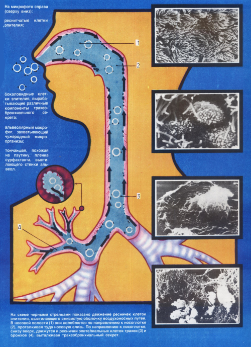 Защитные барьеры